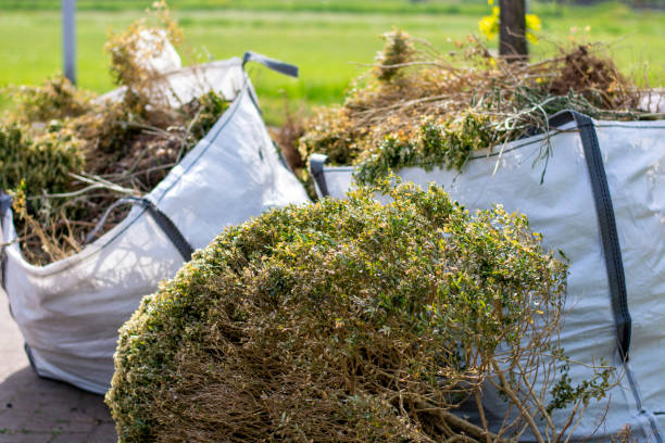 Best Carpet Removal and Disposal  in Sparta, IL